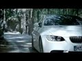 BMW Sauber team promo