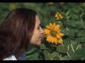Ci vuole un fiore - Sergio Endrigo (in italiano) Ci vuole un fiore - Sergio Endrigo (in italiano)