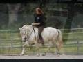 Pony-piaff