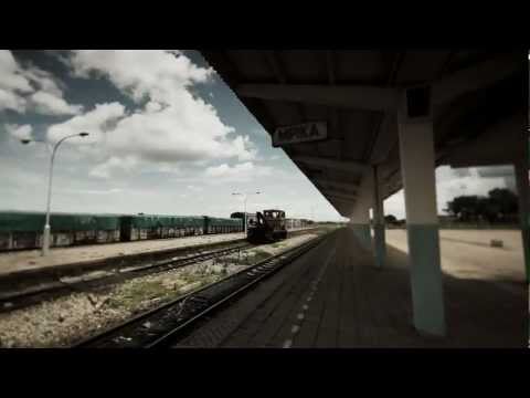 Watch the Gallery video