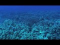 China Video