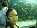 A visit to Manila Ocean Park