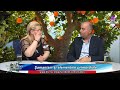 Portocalii aurii 2018 05 22 Portocalii aurii 2018 05 22