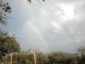 videos de Rainbow In Tucson Arizona