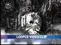 this is amazing. bigfoot holding a baby.