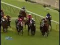 2007 ???? YASUDA KINEN