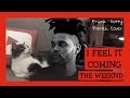 The Weeknd ft. Daft Punk - I feel it coming (traduction en francais) cover Frank Cotty
