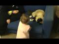 videos de 20080801191210.mpg