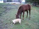 becky et loubar becky et loubar
