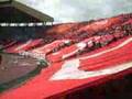 wydad (forever surviver)