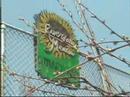 Riverdale Meadow Community Garden:  Watering