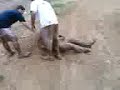 ATV flip
