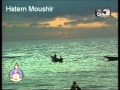 اليمن -  يابلادي