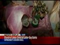 Frogs, Marshmallow Jesus featured in South Hill Nativity Scene