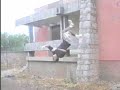 parkour azilal : top group in azilal styles\"az\"streets