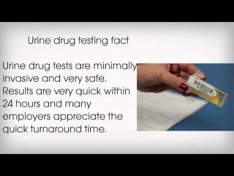 how to do a 24 hr urine test