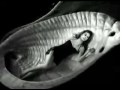 Mariah Carey - My All - Google Chrome2