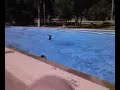 Mason (myself) Frontflip Dive Attempt #1