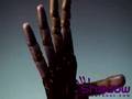 The shadow hand