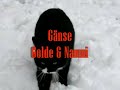 Tiere im Schnee / Animals in the snow