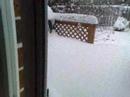 Dec 17 Snowfall