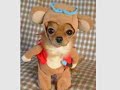  pet pets dog dogs puppy puppies halloween costumes funny website