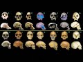 pz-myers-destroys-simmonds-in-evolution-debate-2of5.html