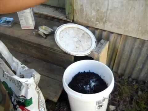 how to fertilize with fish emulsion