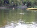 boat,nadire,nadit