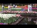 Dutch Flower Show Keukenhof.