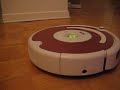 DOMESTIC ROBOTS DOMESTIC ROBOTS
