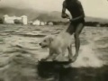 Fwd: On The Waves At Waikiki - Vintage Hawaii Surfing - YouTube - http://www.youtube.com/watch?v=AIovL27P5JU (tramite http://ff.im/X7NrL)