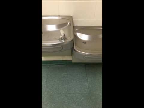 video-linktoworks-How to clean the water fountain