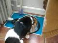 Dora first meal