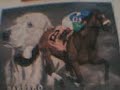we miss you barbaro