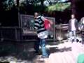 Zoo Groove