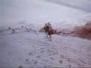 Rufo descubriendo la nieve