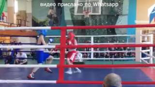 Шимановский боксер отлично показал себя в г.Большой камень.