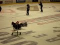 SLOVAN - ZVOLEN   SASU HOVI V NAKUPNOM VOZIKU