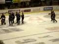 SLOVAN - ZVOLEN   SASU HOVI V NAKUPNOM VOZIKU