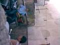 videos de Zamba