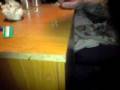 videos de MOV00631.MP4