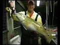Matagorda Fishing in Spring