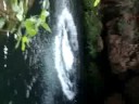 charco de coin 5