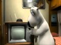 Backom the polar ber - contact 2.wmv