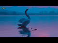 Marc Aryan - Tu As Beau Me Dire