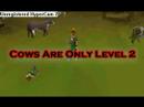 RS-Pure-Range-Guide-