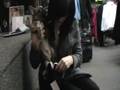 videos de Stealing Innocent Puppies