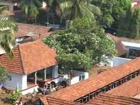 Kozhikode video