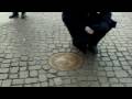 videos de Bremen Town Musicians Manhole